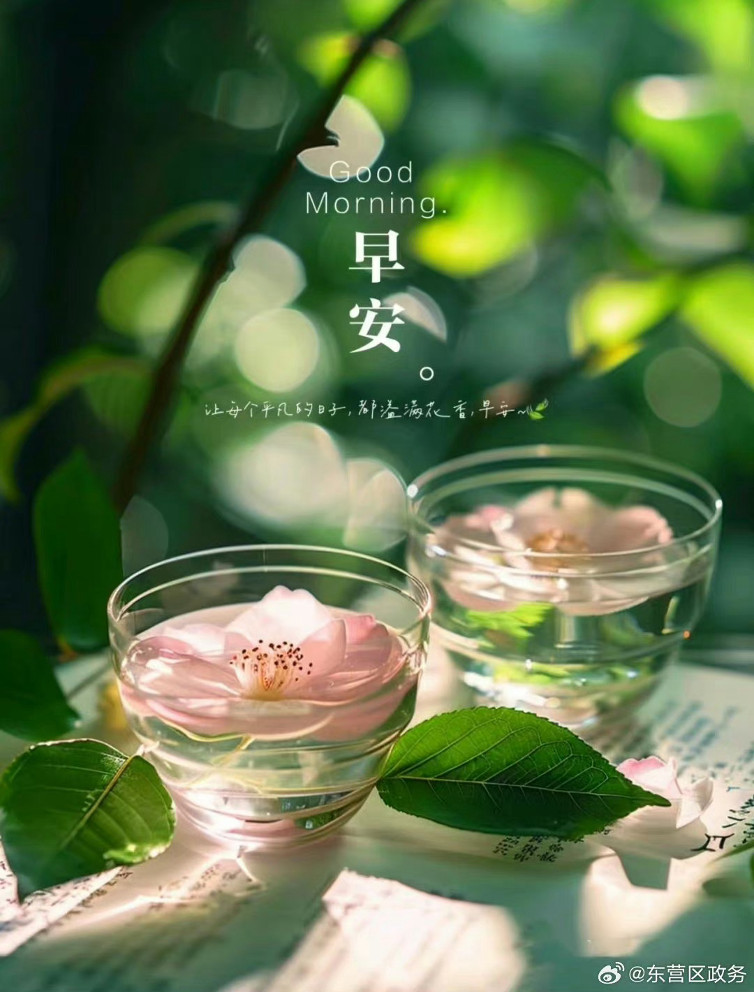 早安微博最新发布与制作指南，制作步骤详解