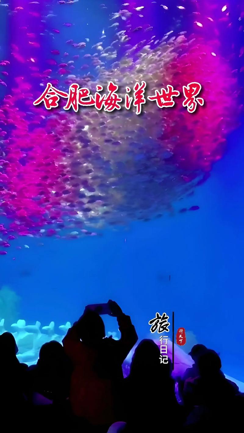 合肥海洋世界最新高科技产品介绍及体验